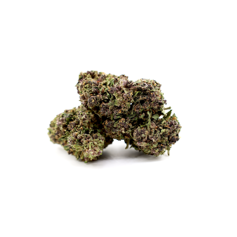 Purple Serenity Green House __d0__
