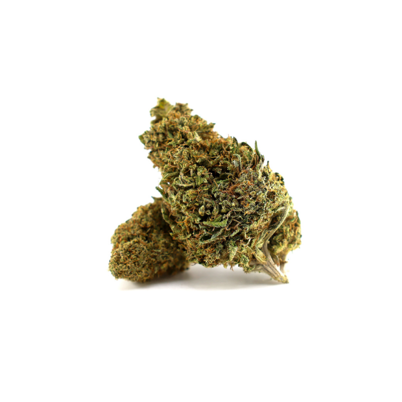 Solar Tangie Glasshouse __d0__
