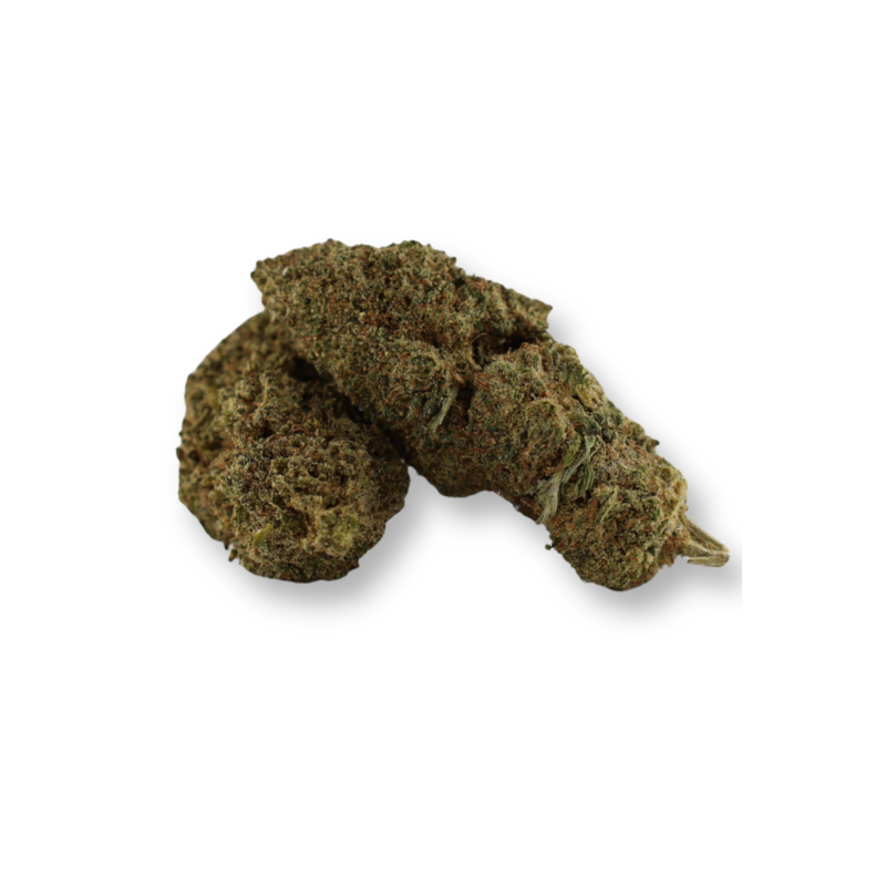 Plutonium 44 Indoor CBN
