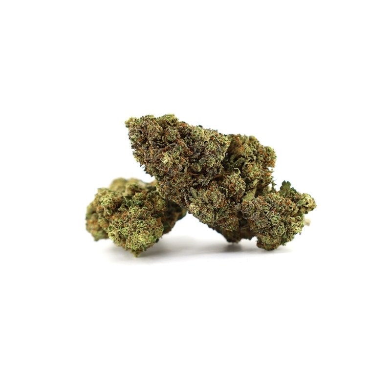 Fragola Dolce Greenhouse 19%