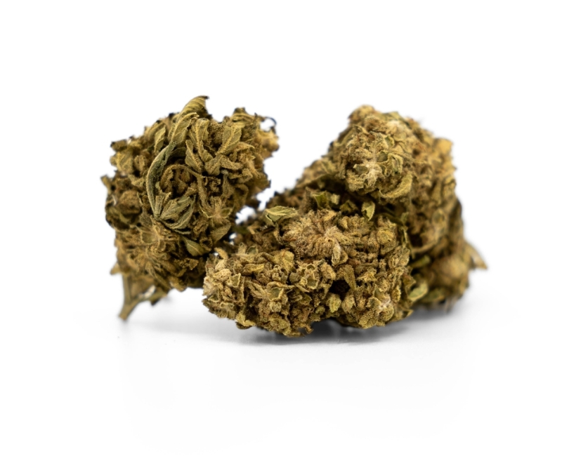 Northern Light CBG Outdoor 10%