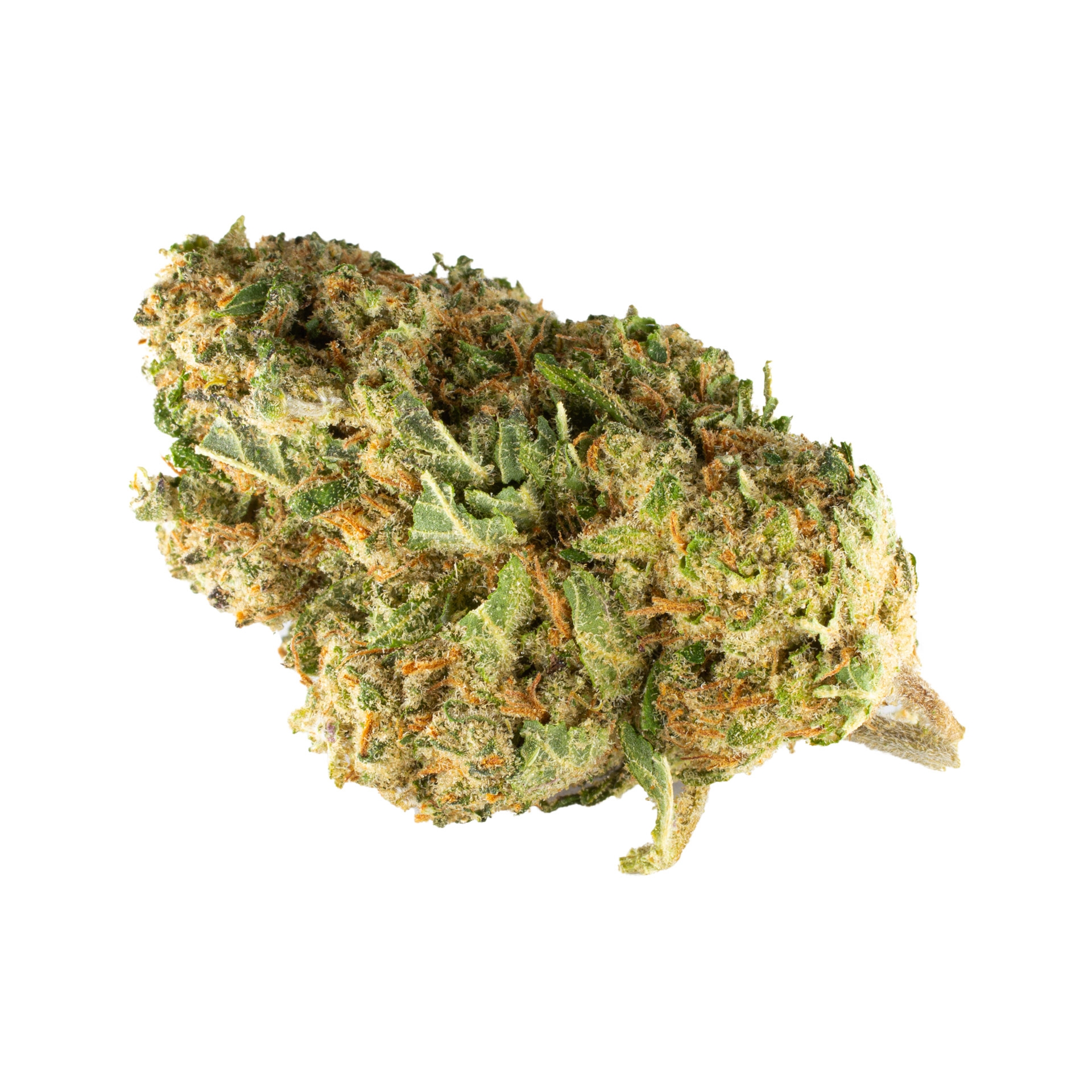 Tête de fleur de CBD Amnesia Indoor 15%