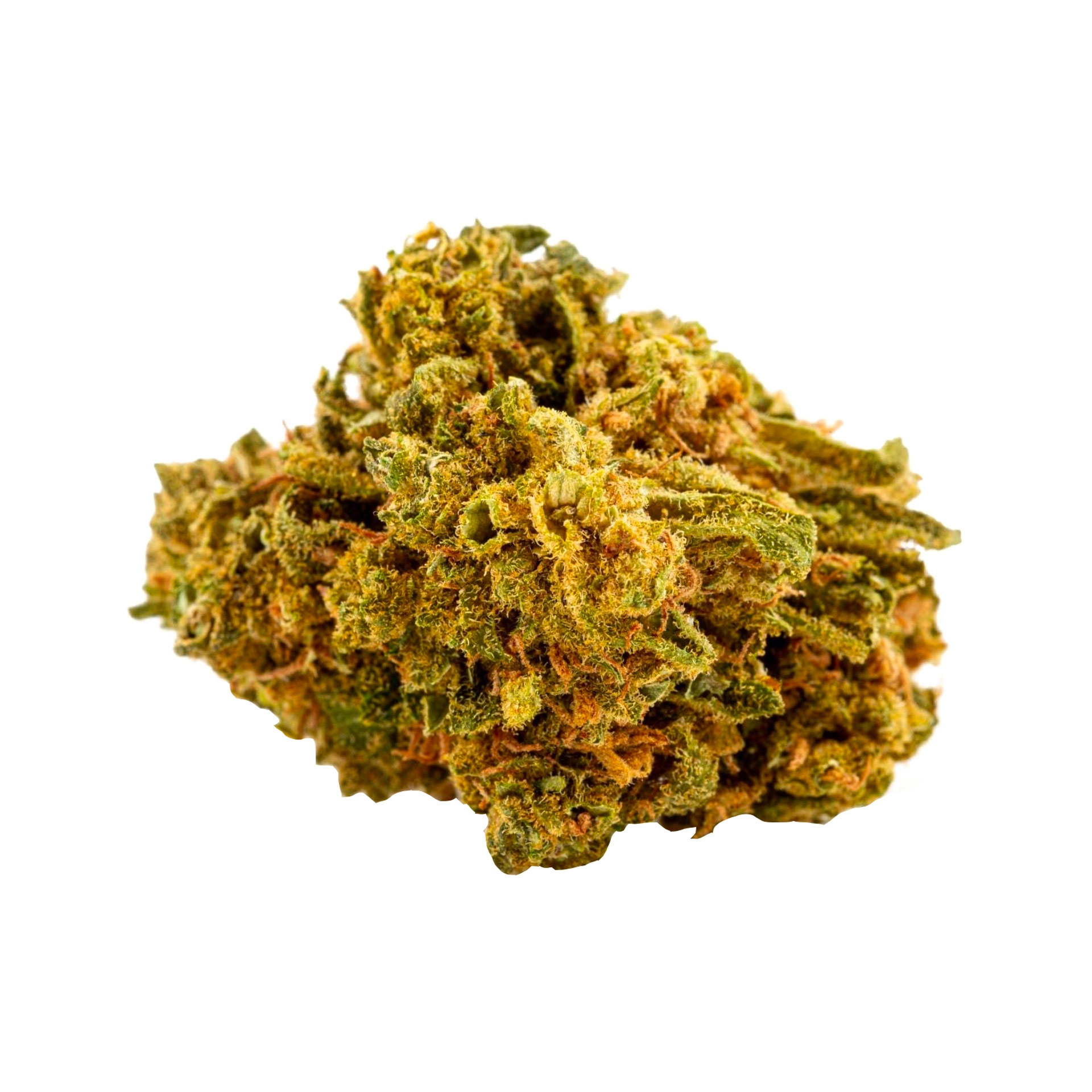 Tête de fleur de CBD Great White Shark Green House 15%