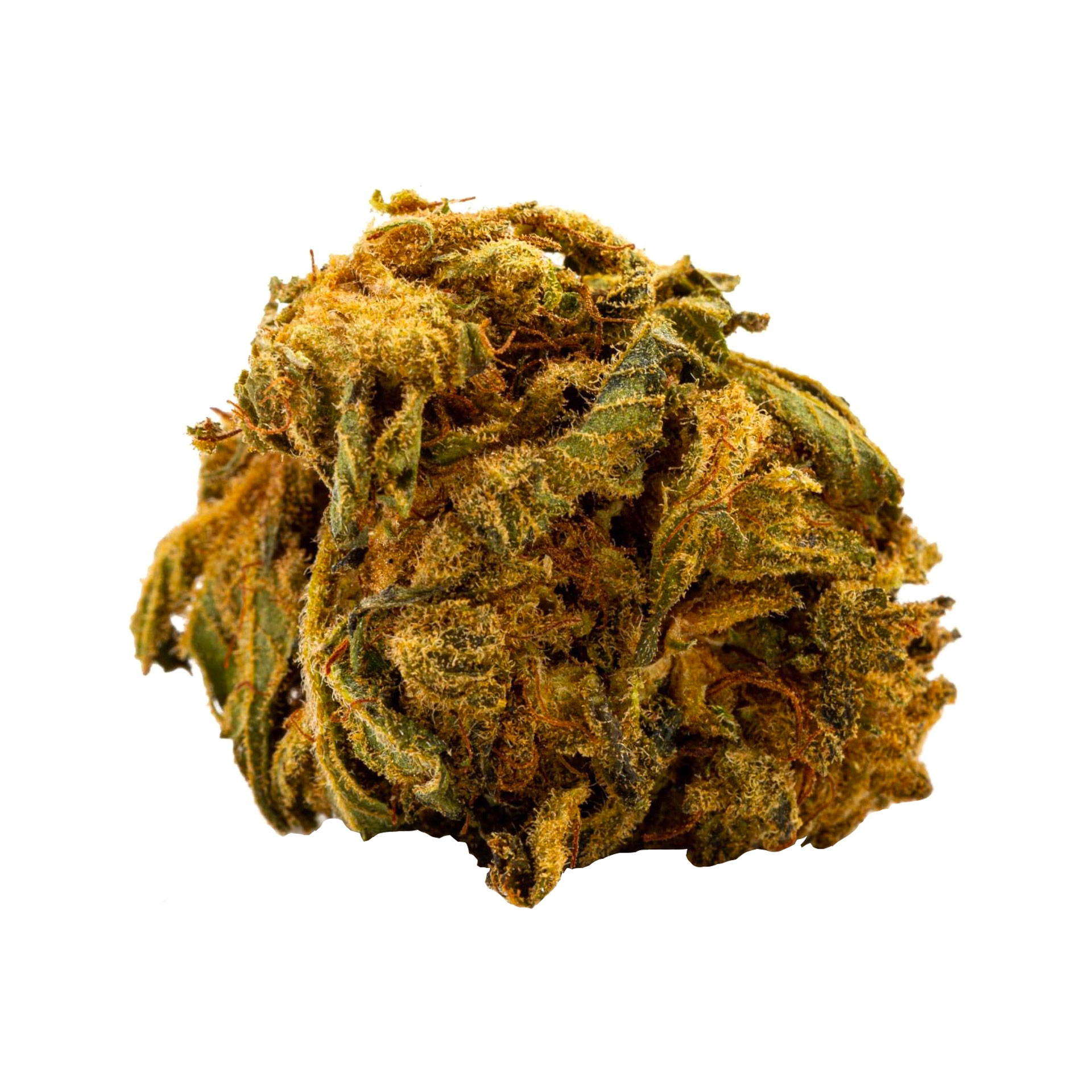 Tête de fleur de CBD Chocolope Kush Green House 13%