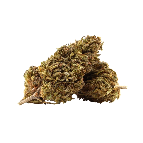 Mobydick Outdoor __d0__