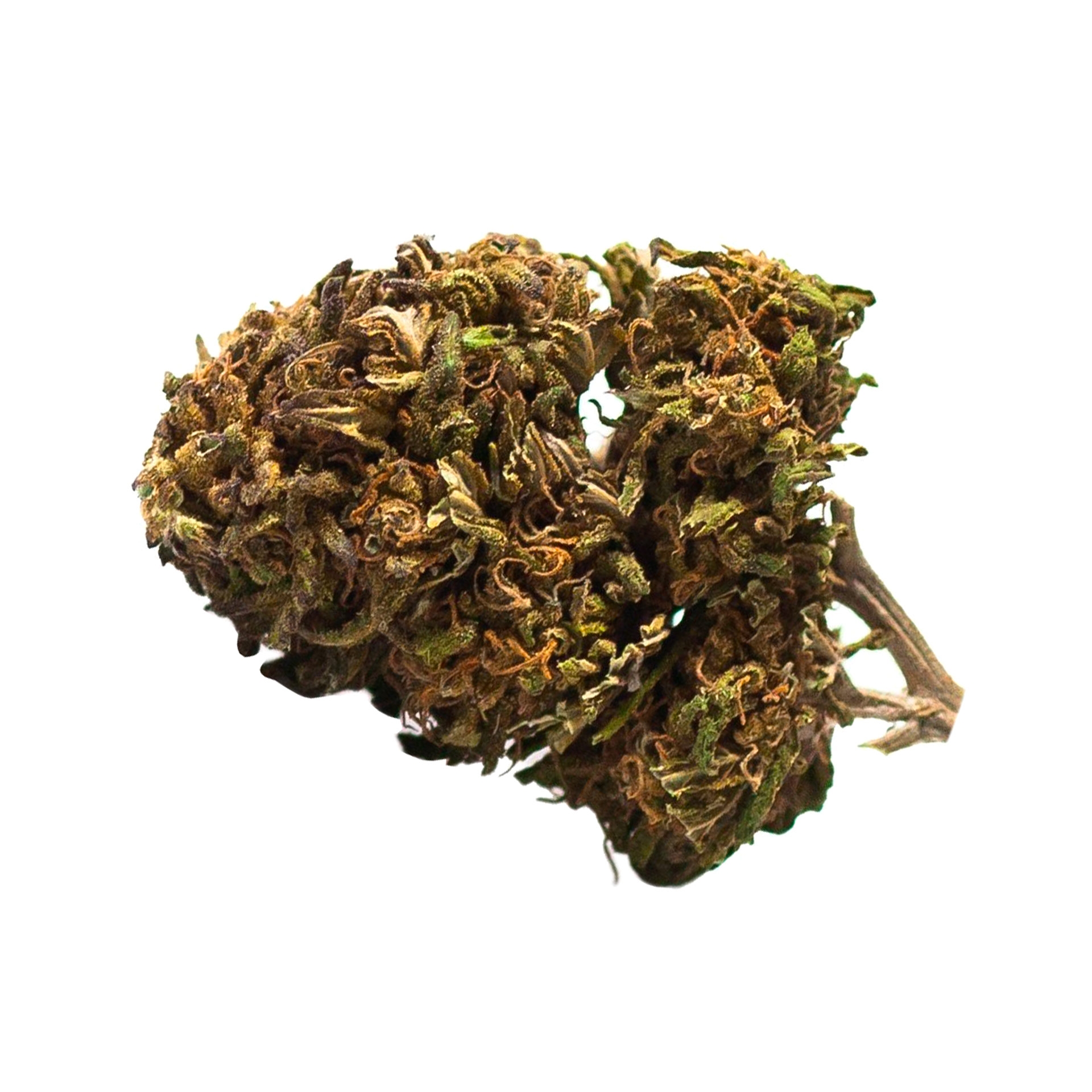 Tête de fleur de CBD Harlequin 15% cultivée en outdoor