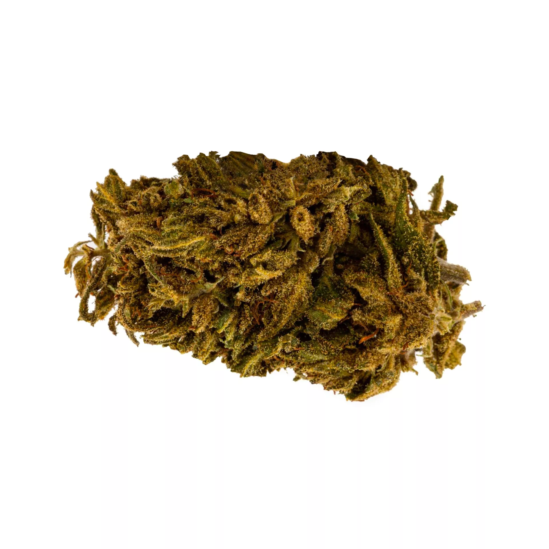 Tête de fleur de CBD Blackberry Outdoor 13%