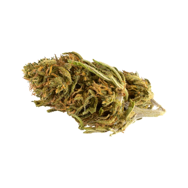 Critical Outdoor __d0__