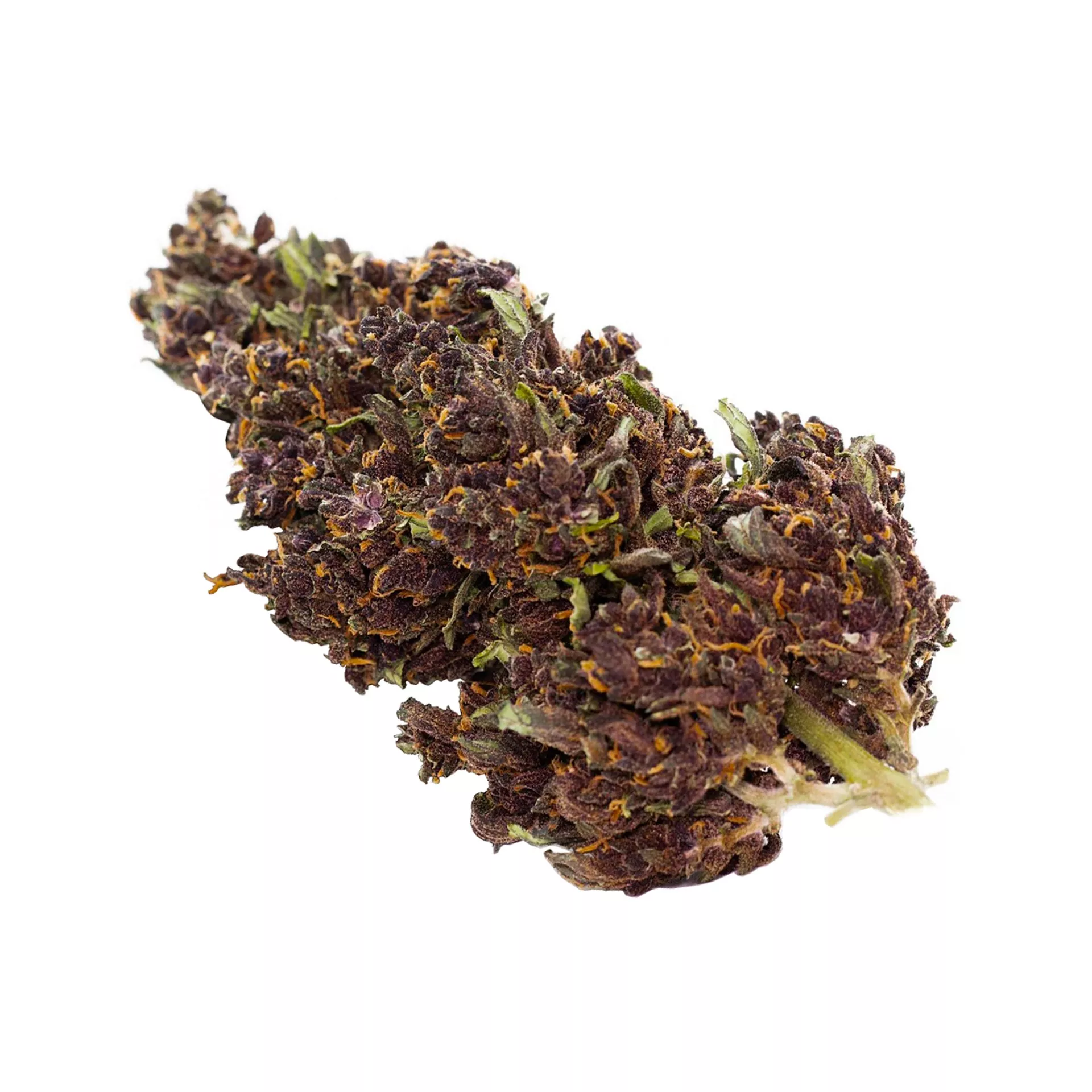 Tête de fleur de CBD Purple Haze Outdoor 14%