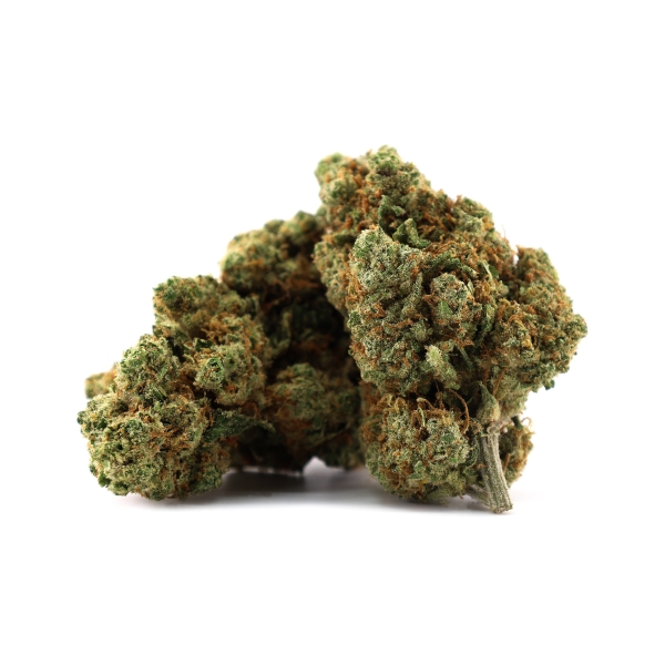 Amnesia Haze Indoor __d0__