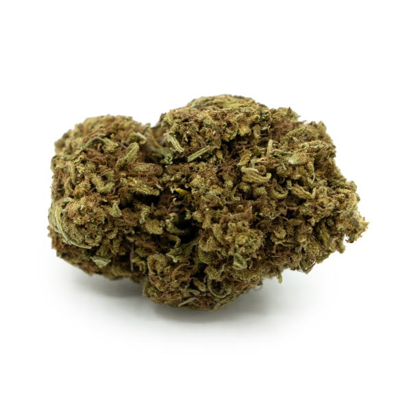 Dos Si Dos Outdoor