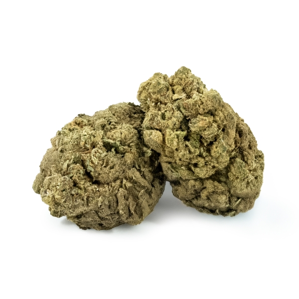 Gelato CBD Indoor 13% - Fleurs de CBD - La Ferme du CBD