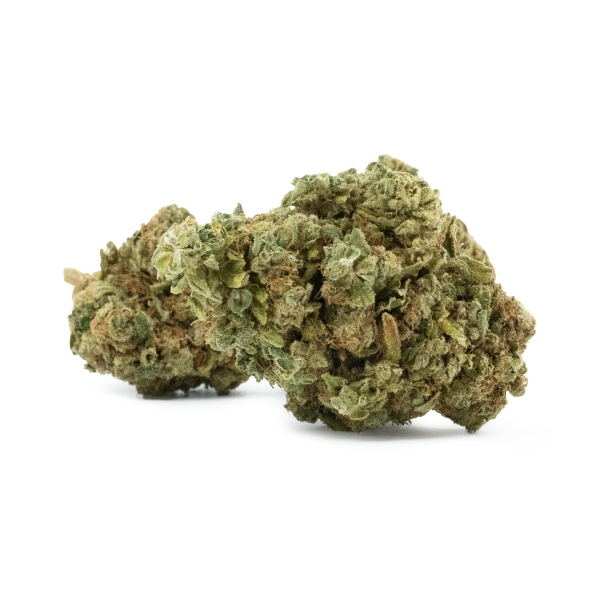 Rainbow Burst Indoor __d0__