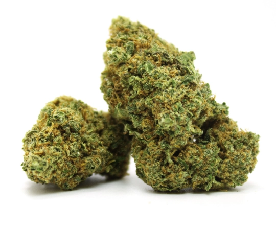 Ghost Train No.5 Indoor 20%