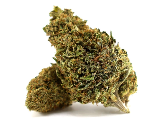 Solar Tangie Glasshouse 17%