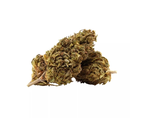 Mobydick Outdoor 15%