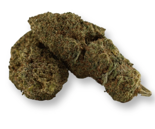 Plutonium 44 Indoor CBN 30%