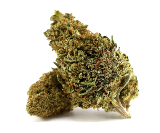 Solar Tangie Glasshouse 17%