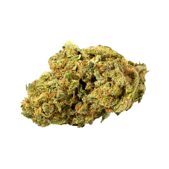Tête de fleur de CBD Pistachio 12% cultivée en indoor