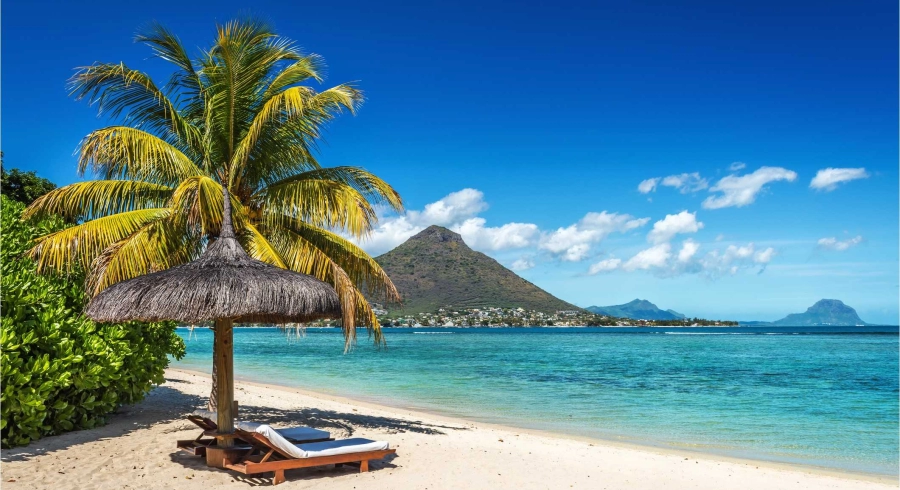Le CBD à usage thérapeutique bientôt autorisé sur l’île Maurice ?