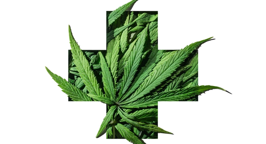 Les bienfaits du CBD