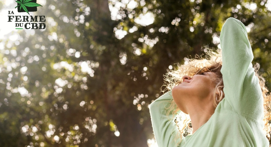 Découvrez le CBD : votre nouvel allié contre l'anxiété