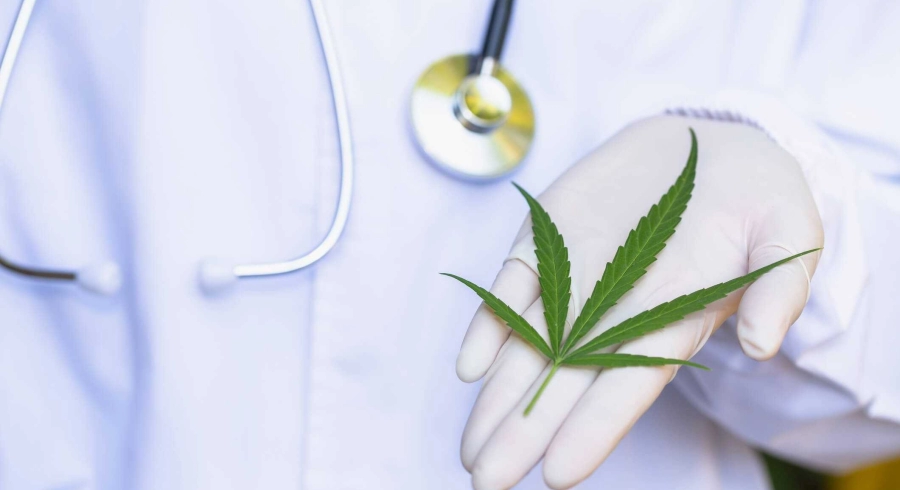 CBD et cancer : peut-on traiter le cancer avec du cannabidiol