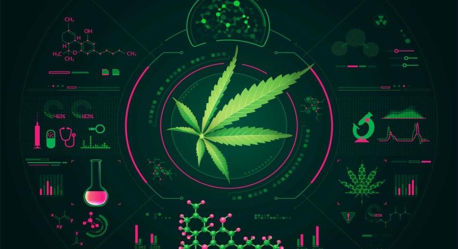 CBD und Wechselwirkungen mit Medikamenten