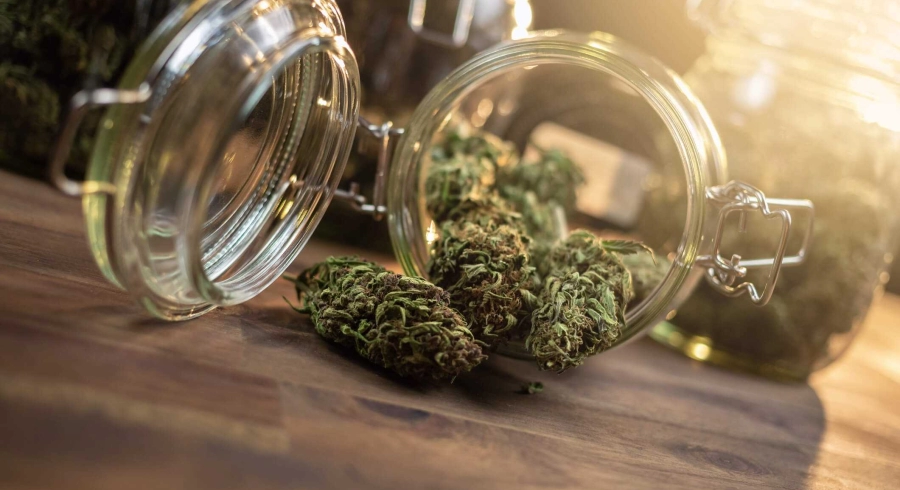 Die Wirkung von CBD