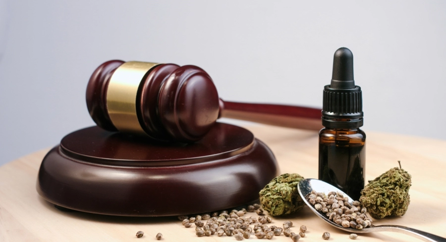 Gesetz über Cannabidiol
