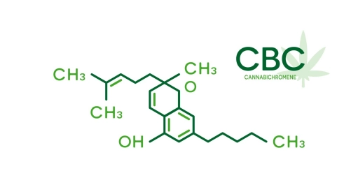 Kennen Sie CBD?
