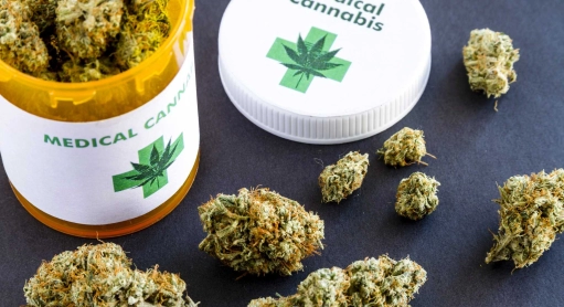 Cannabis thérapeutique, premiers pas vers l’expérimentation en France