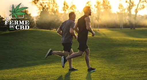 CBD et sport font-ils bon ménage ?