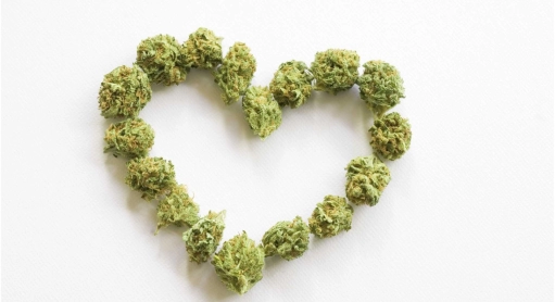 Les cannabinoïdes n’auraient pas d’effet cardiovasculaires graves