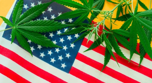 Seit kurzem interessieren sich amerikanische Großkonzerne für CBD