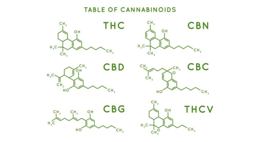 Cannabinoide, den Entourage-Effekt verstehen
