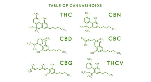 Cannabinoïdes, comprendre l’effet d’entourage