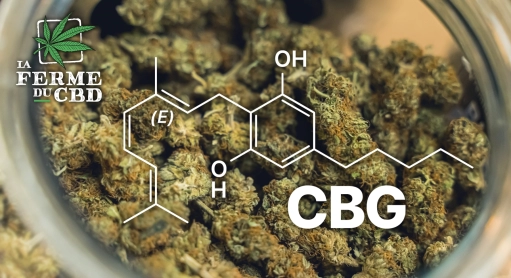 Le CBG : Effets, bienfaits et différences avec le CBD