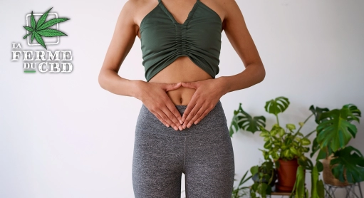 CBD et constipation : comprendre les effets et bien utiliser
