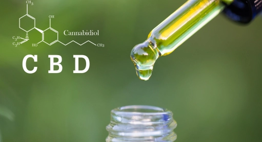 Definition of CBD: what is cannabidiol?