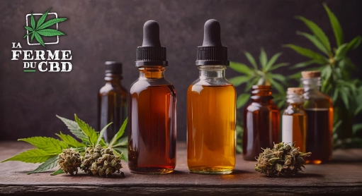 Huile de chanvre : contre-indications, effets secondaires et différences avec le CBD