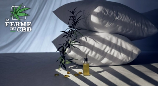 CBD et insomnie : notre guide complet