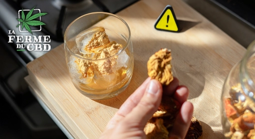 Muscimol : Effets, dangers et solutions naturelles