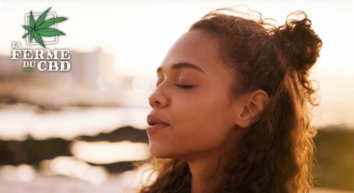 Les secrets du CBD pour vaincre le stress