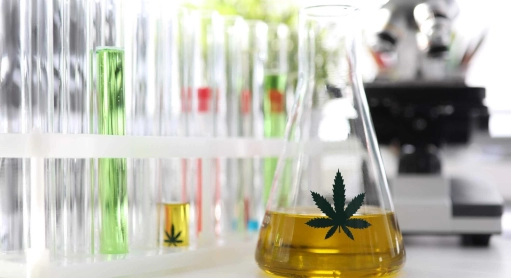 CBD et test salivaire : que risquez-vous vraiment ?