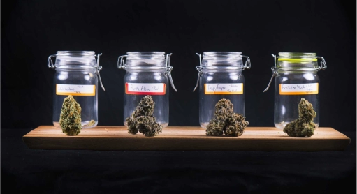 Wie soll man sein CBD aufbewahren?