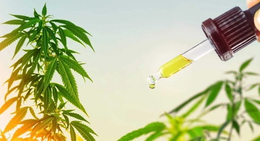 How many drops of CBD should be taken to fall asleep?