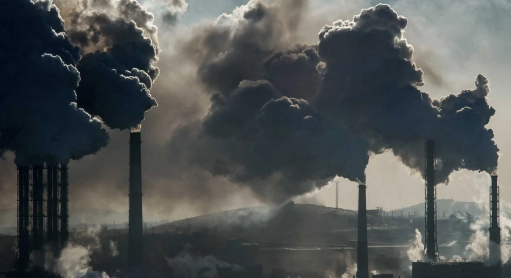 Le chanvre : deux fois plus efficace que les arbres pour capturer le carbone !