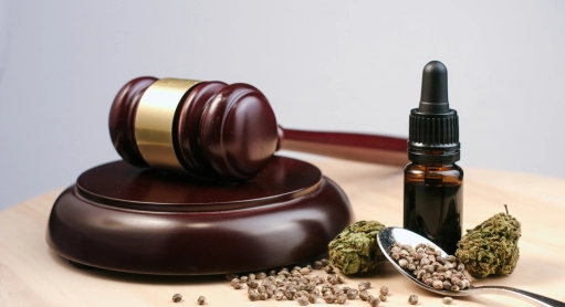 Gesetz über Cannabidiol