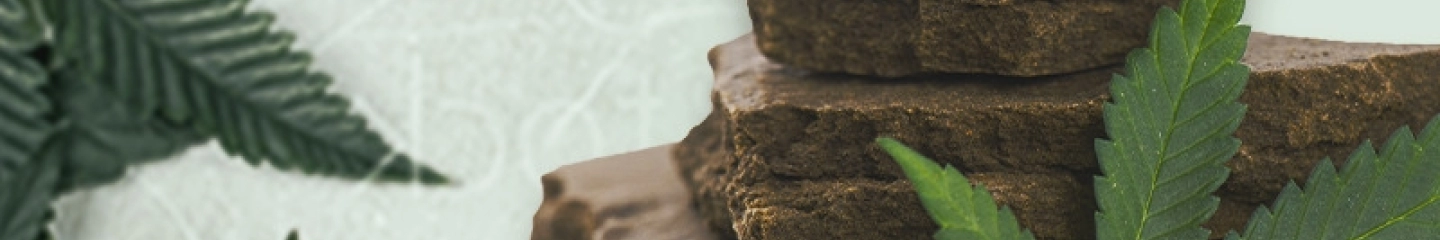 Résines de CBD : un concentré de CBD bio - La Ferme du CBD